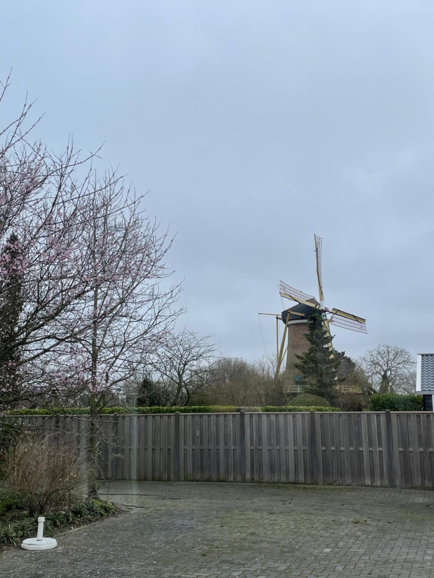 Gastenverblijf Bij De Buuren Dirksland Exterior foto